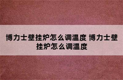 博力士壁挂炉怎么调温度 博力士壁挂炉怎么调温度